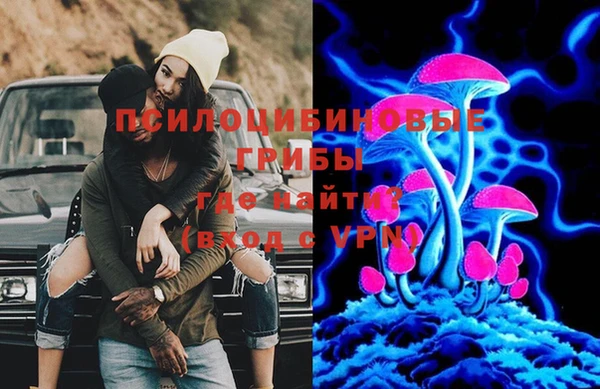 сатива Верея