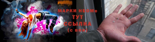 сатива Верея