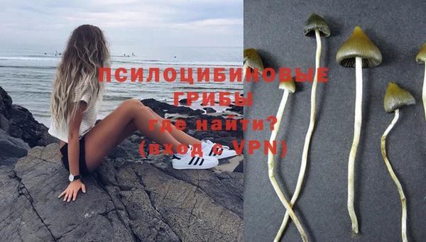 гидропоника Володарск