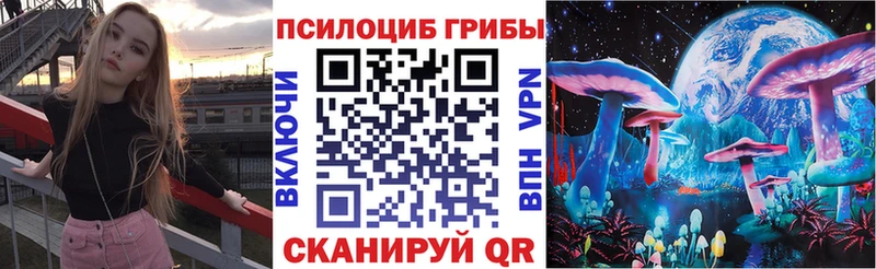 Купить закладки  Выборг  Галлюциногенные грибы прущие грибы 